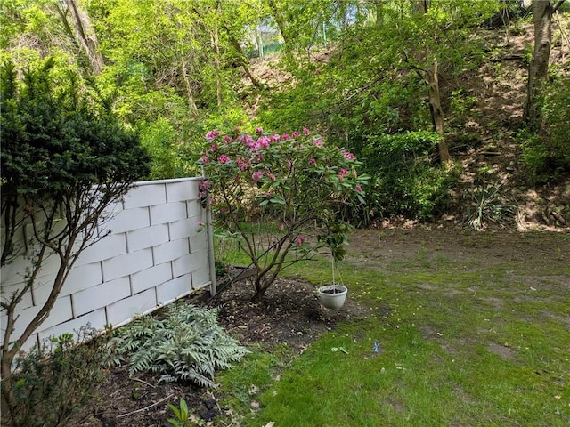 exterior view of fence