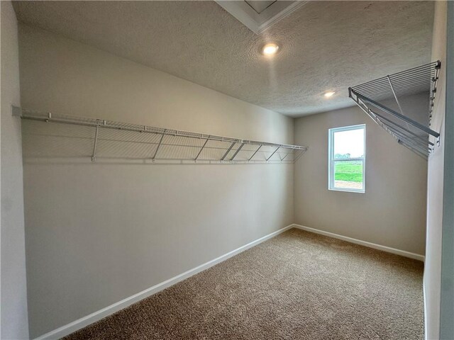392 Dana Dr, New Stanton, PA 15639 - photo 11