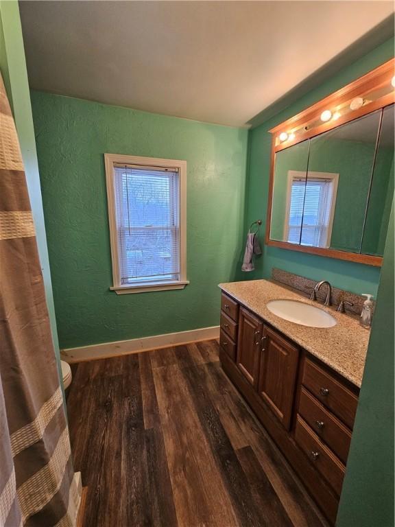 bathroom with hardwood / wood-style flooring, vanity, and toilet