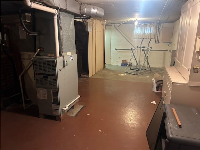 basement with heating unit