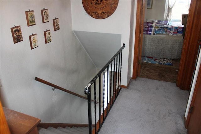 stairway featuring carpet flooring