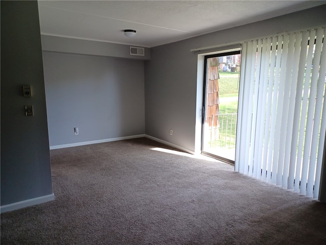 spare room with carpet flooring