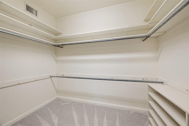 spacious closet featuring carpet flooring