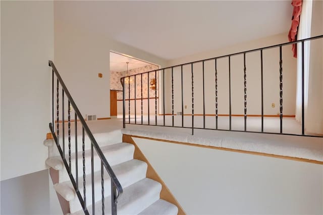 staircase featuring carpet floors