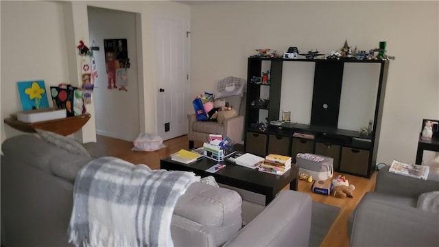 living room with hardwood / wood-style floors