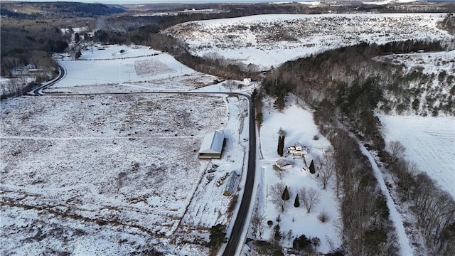 view of snowy aerial view