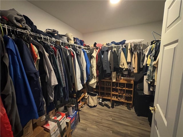 walk in closet with hardwood / wood-style floors