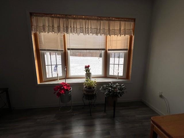 dining room featuring dark hardwood / wood-style floors