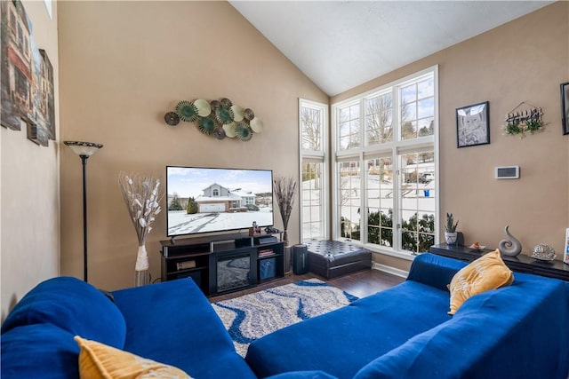 living room with hardwood / wood-style flooring and high vaulted ceiling