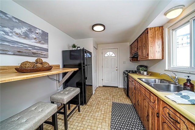 kitchen with sink and black appliances