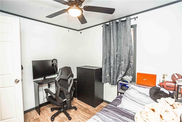 office with ceiling fan and light hardwood / wood-style floors