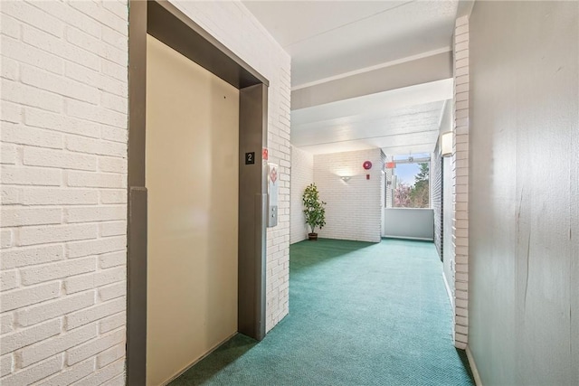 5841 Morrowfield Ave Unit 206, Squirrel Hill, PA 15217 - hall featuring brick wall, carpet, and elevator