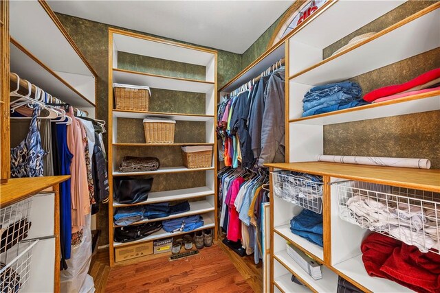 walk in closet featuring wood-type flooring