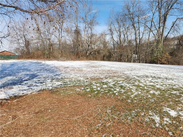 view of yard layered in snow