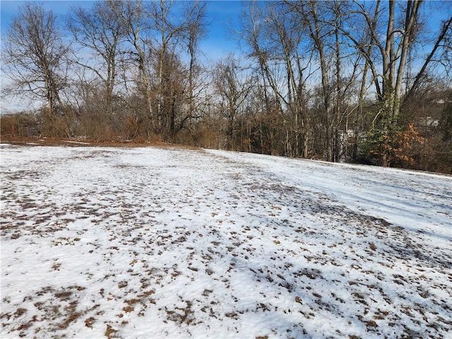 view of snowy yard