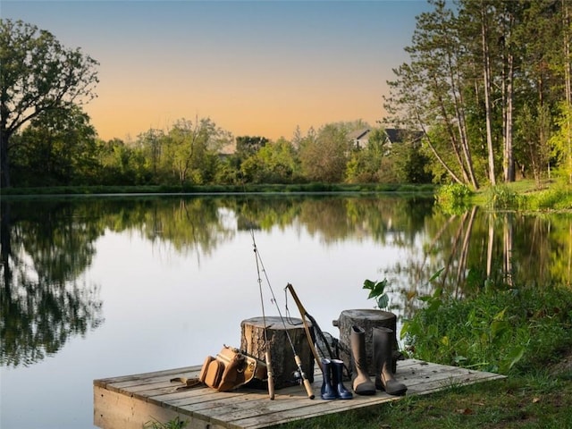 view of dock with a water view