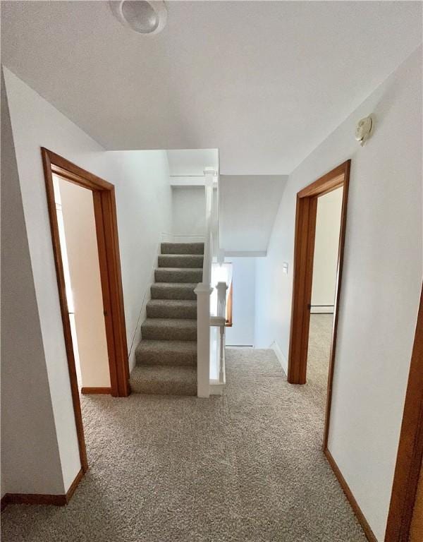 302 S Main St, Masontown, PA 15461 - stairway featuring carpet and baseboards