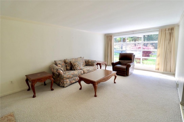 1219 Minnesota Ave, Natrona Hts/Harrison Twp, PA 15065 - living area featuring carpet floors and ornamental molding