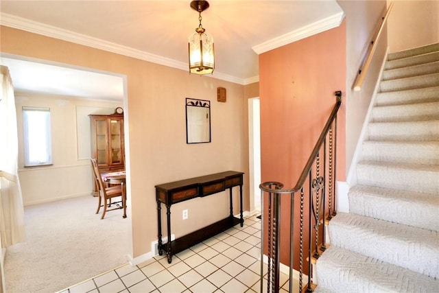 1219 Minnesota Ave, Natrona Hts/Harrison Twp, PA 15065 - stairs featuring carpet, crown molding, and baseboards