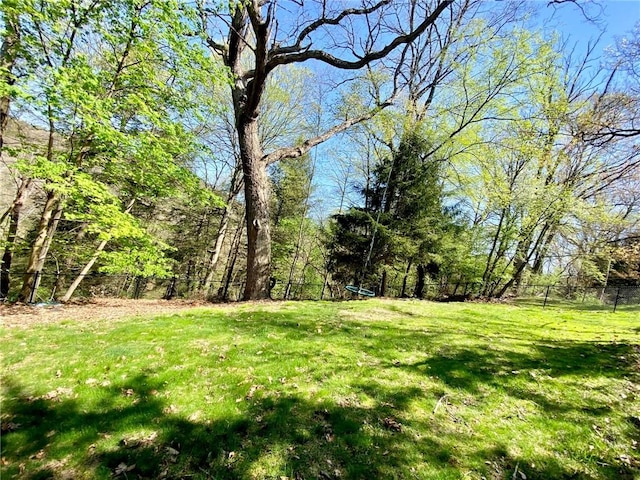 1219 Minnesota Ave, Natrona Hts/Harrison Twp, PA 15065 - view of yard with fence