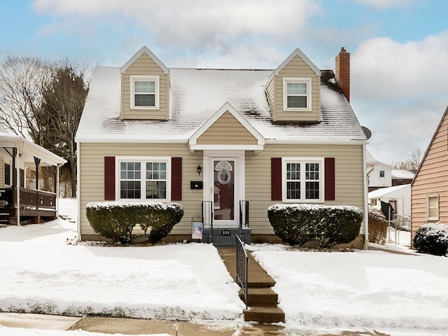 view of cape cod house