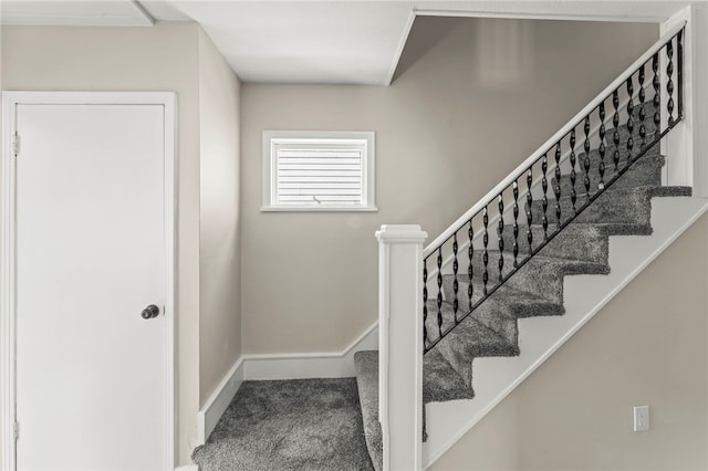 stairway with carpet flooring