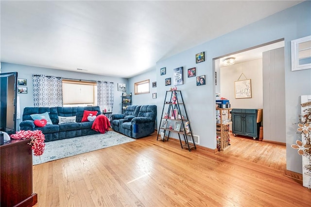 living room featuring wood-type flooring