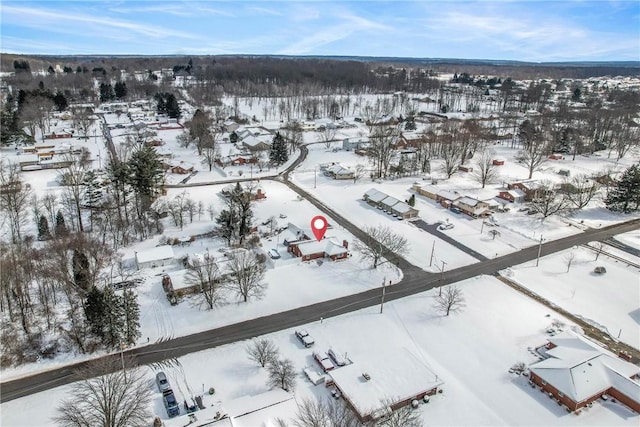 view of snowy aerial view