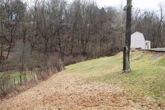 view of yard with an outbuilding