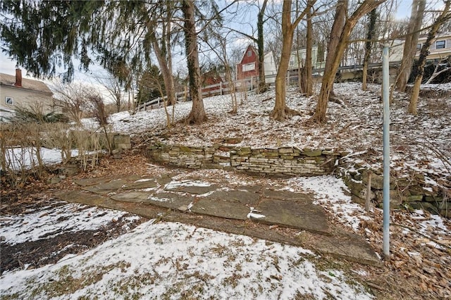 view of snowy yard