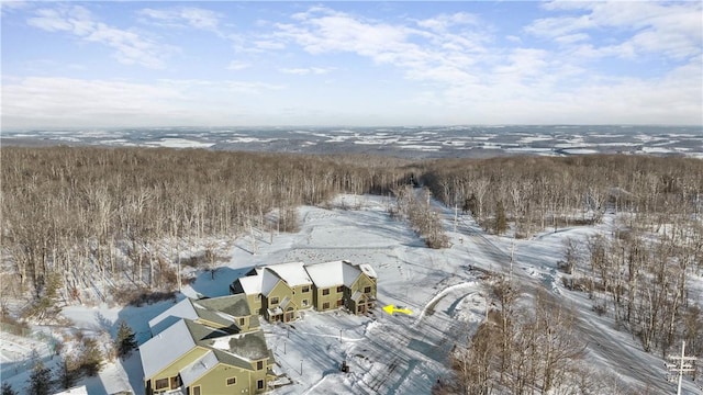 view of snowy aerial view