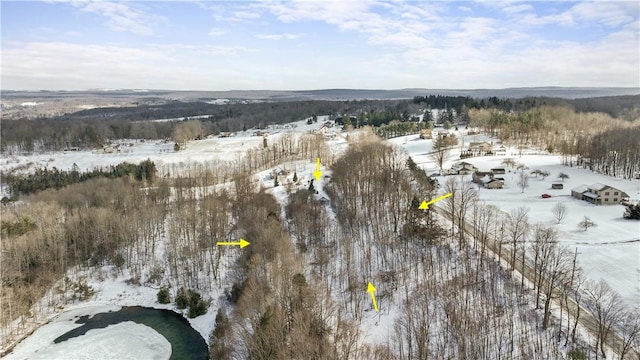 view of snowy aerial view