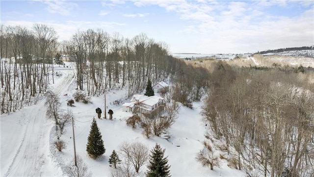 view of snowy aerial view