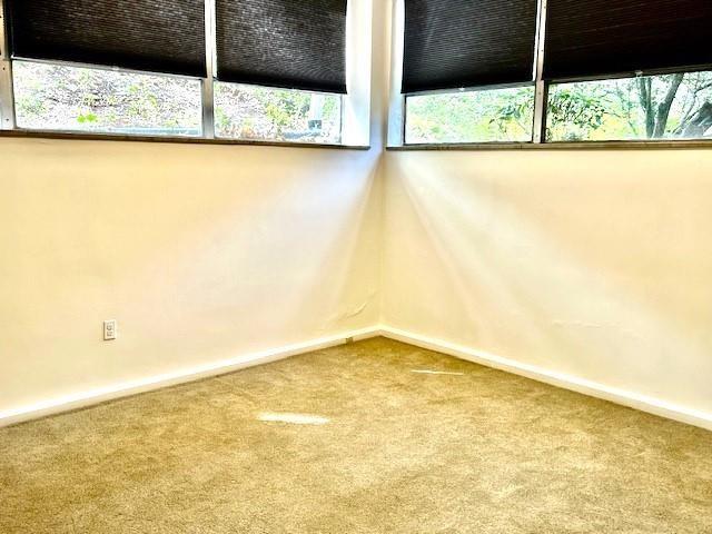 empty room featuring a healthy amount of sunlight and carpet flooring