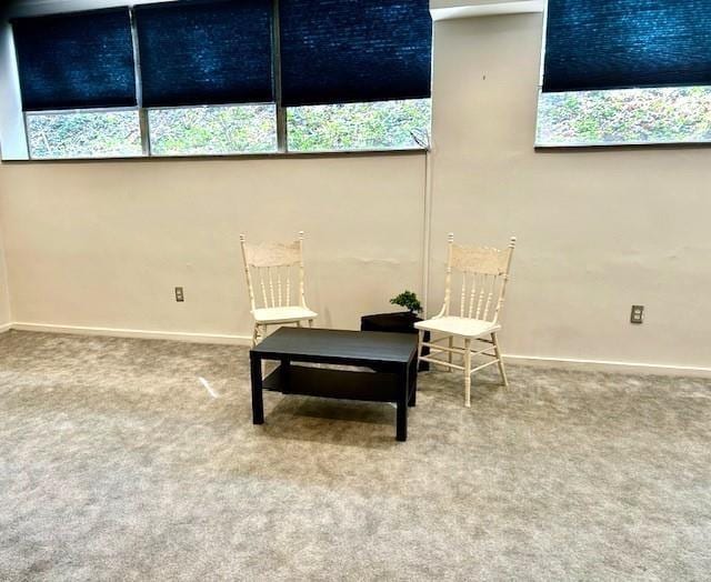 sitting room featuring carpet flooring and baseboards