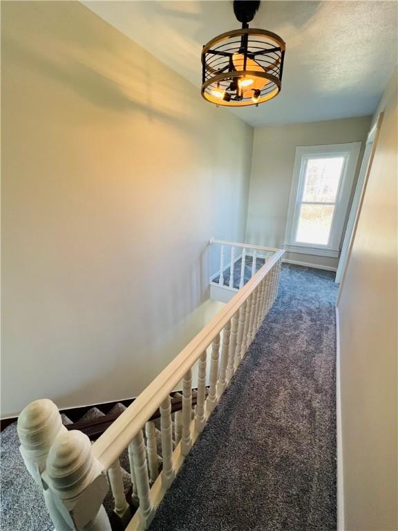 stairway featuring carpet