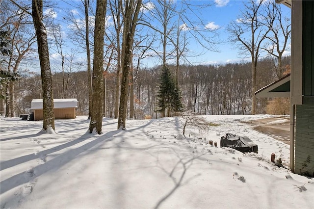 yard covered in snow with an outdoor structure and a storage shed