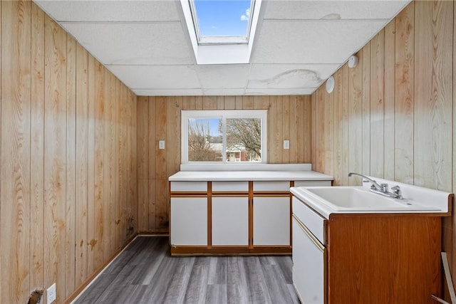 bar featuring a sink, a skylight, wooden walls, and wood finished floors