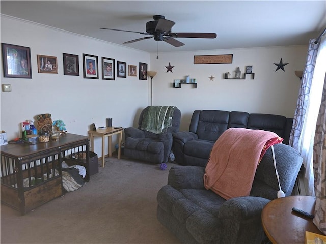 carpeted living room with ceiling fan and crown molding