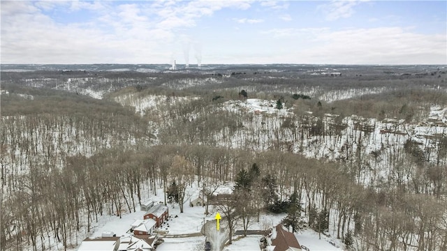 view of snowy aerial view