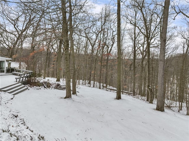 yard covered in snow with a garage