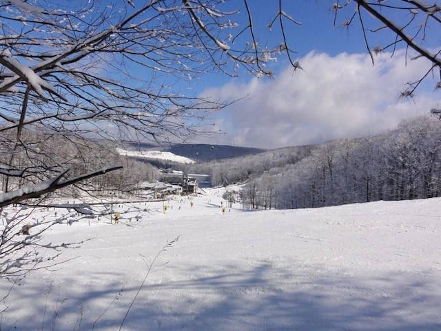 view of mountain feature