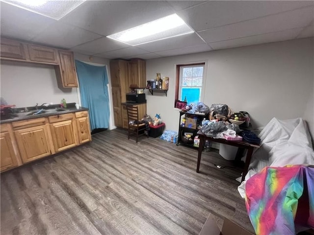 interior space featuring dark wood-type flooring, dark countertops, a sink, and a drop ceiling