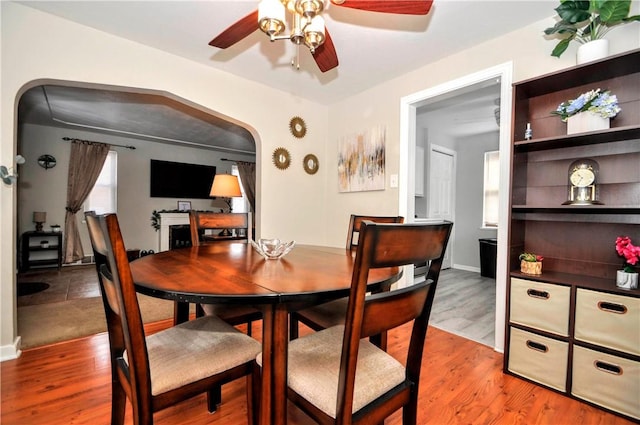 dining area featuring arched walkways, ceiling fan, and wood finished floors