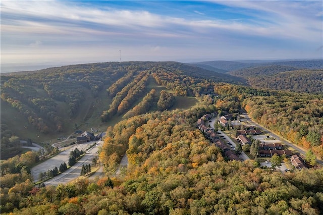 drone / aerial view featuring a wooded view