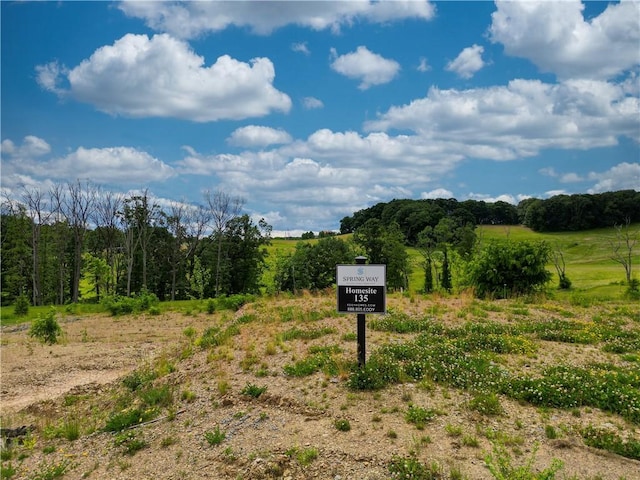 view of road featuring a forest view