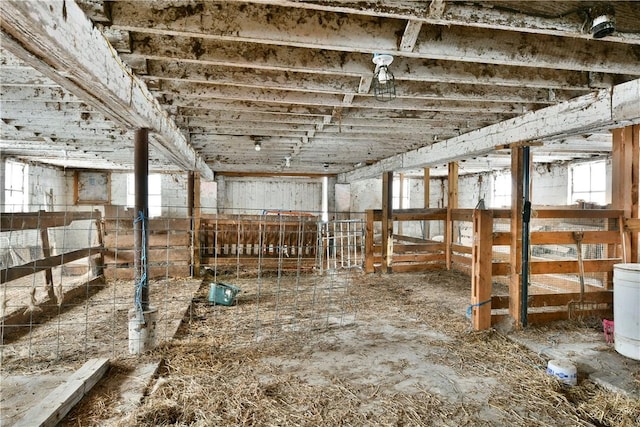 view of horse barn