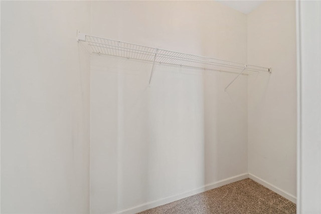 spacious closet with carpet