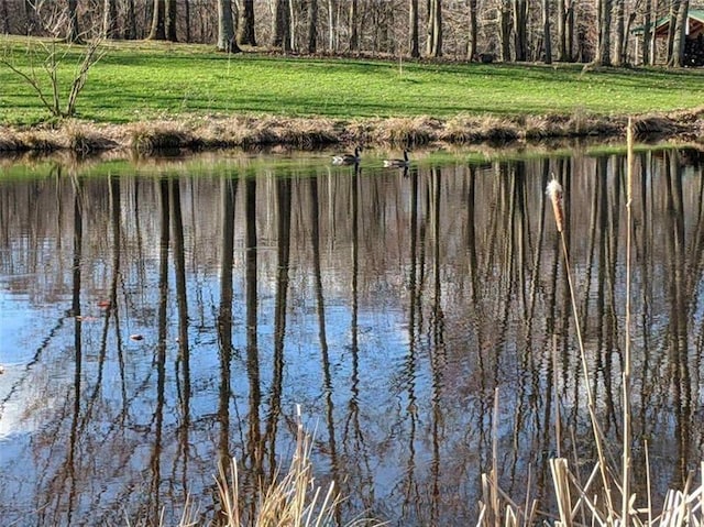 view of water feature