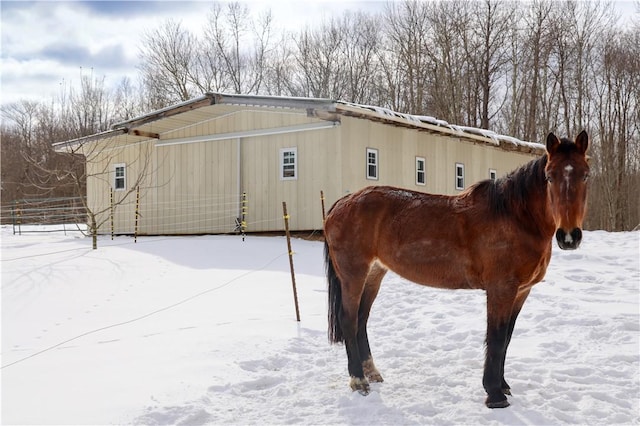 view of stable